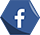 Facebook Icon