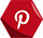 Pinterest Icon