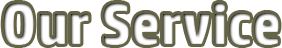 Our professional Service Our Service